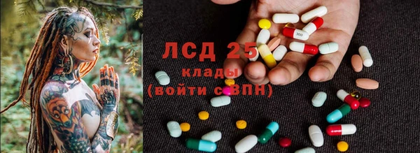 хмурый Алзамай