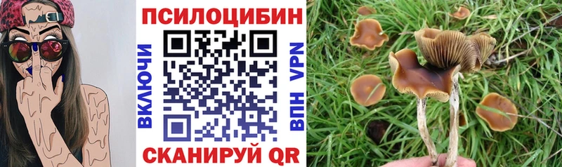 как найти hydra tor нарко площадка формула Ухта Галлюциногенные грибы Psilocybe