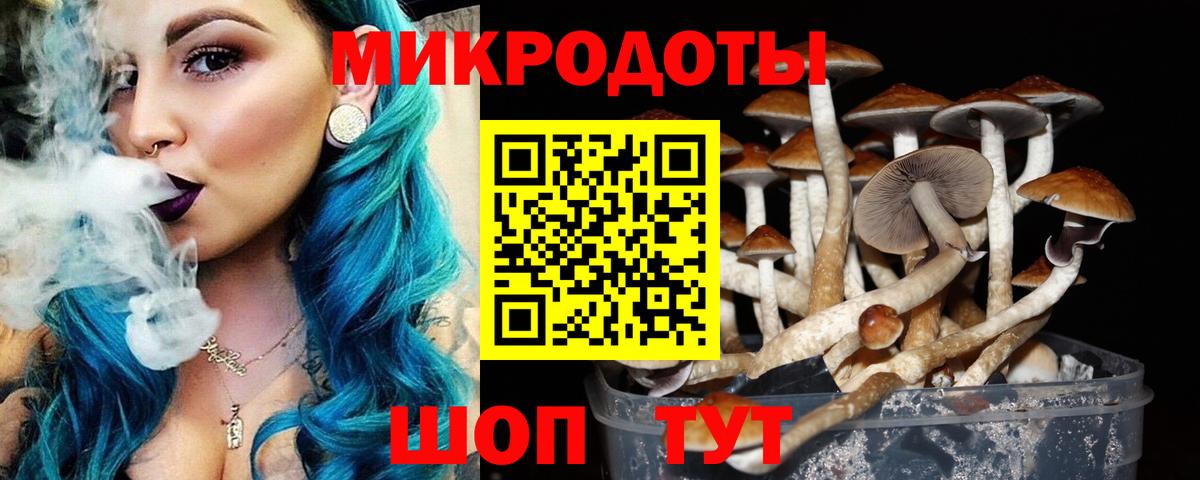 Галлюциногенные грибы GOLDEN TEACHER  Вход с VPN  Ухта 